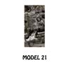 MODEL 21