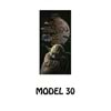 MODEL 30